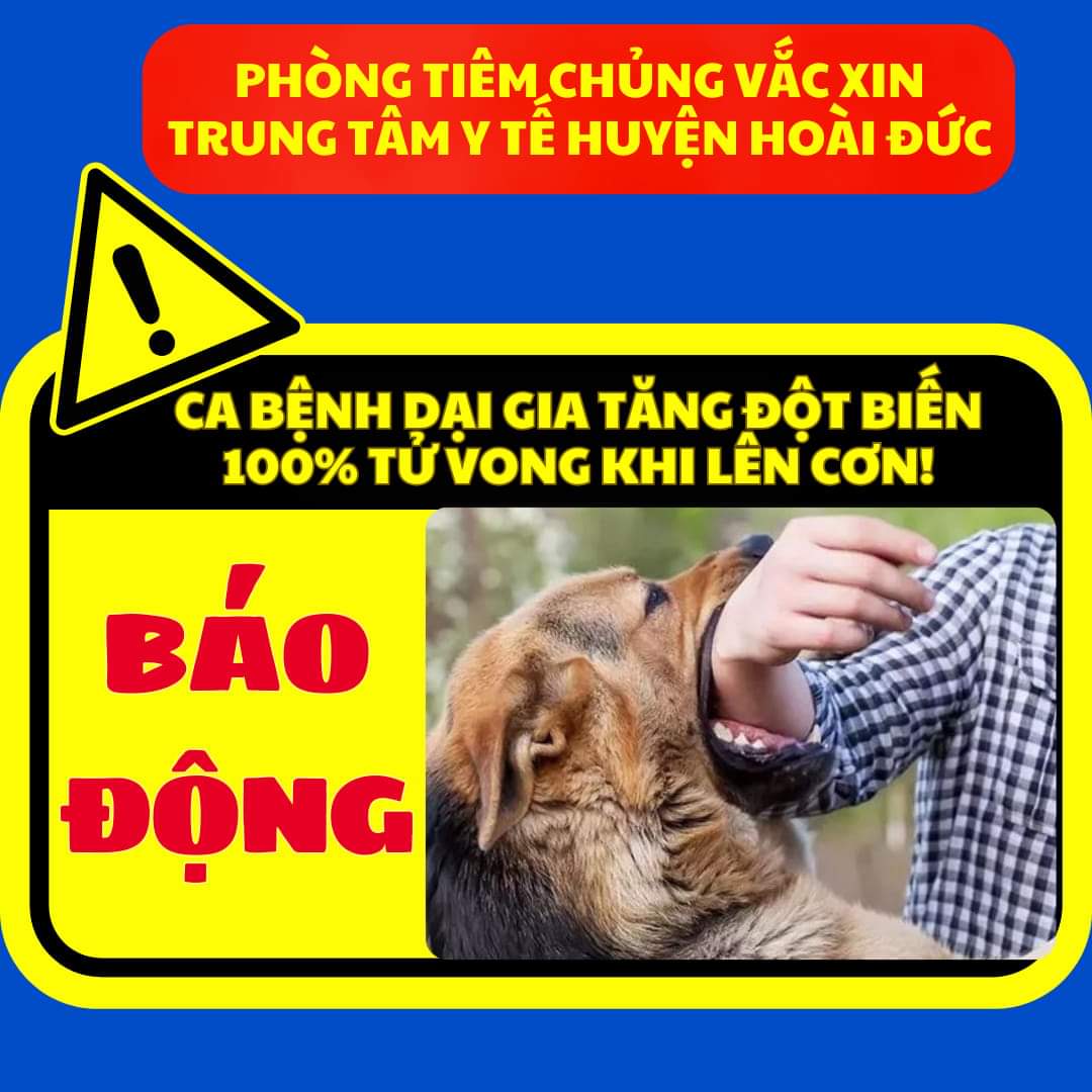 CHỈ ĐẠO KHẨN PHÒNG CHỐNG BỆNH DẠI