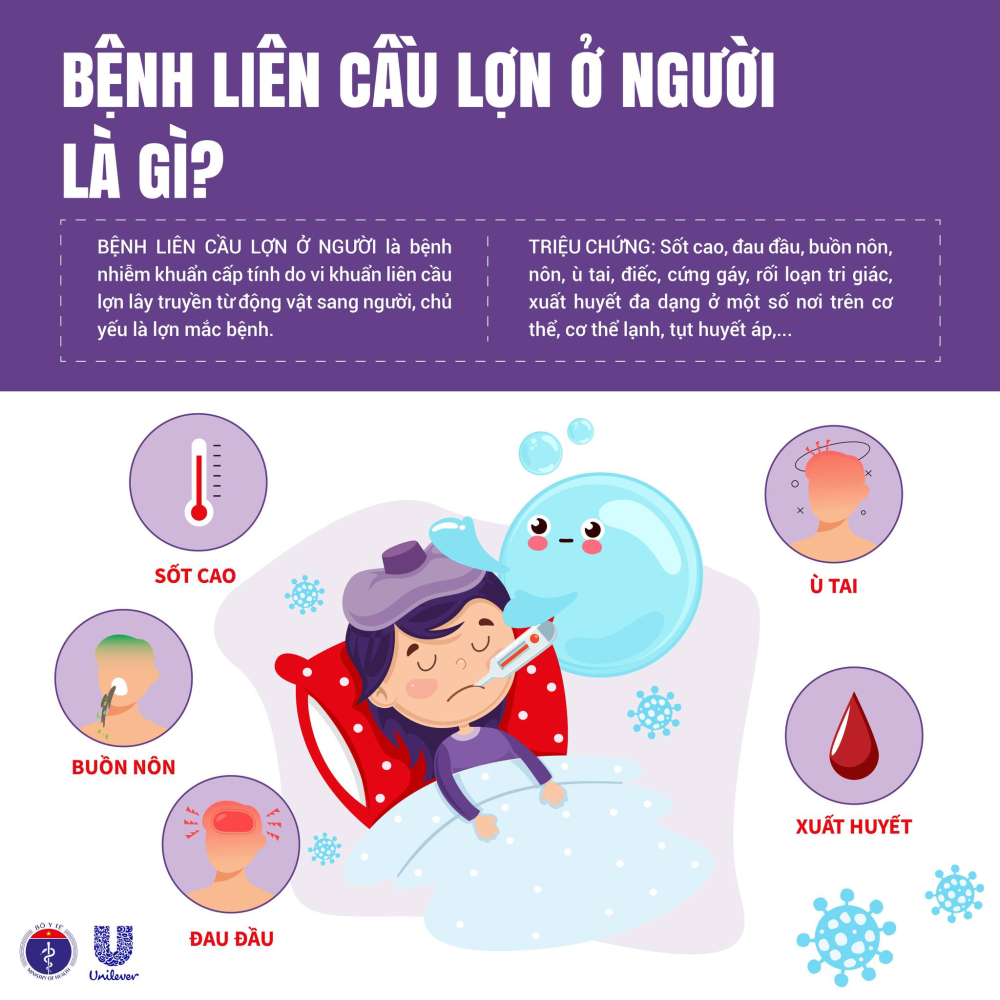 PHÒNG CHỐNG BỆNH LIÊN CẦU LỢN Ở NGƯỜI